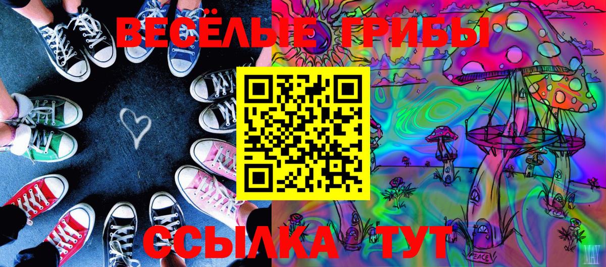 Галлюциногенные грибы Psilocybe  дарнет шоп  Кимовск  Вход с VPN  Псилоцибиновые грибы ЛСД 